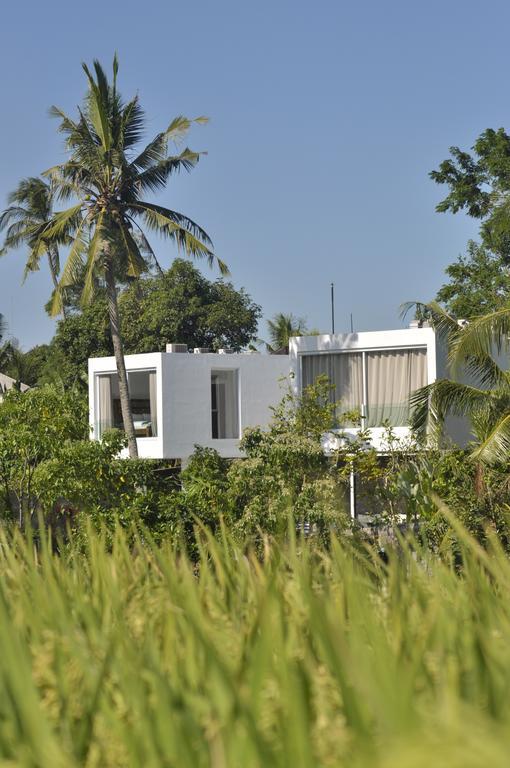 Villa Ashoka Canggu Eksteriør billede